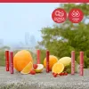 HEALTHY MIX LIP SORBET 02 Red-Freshing